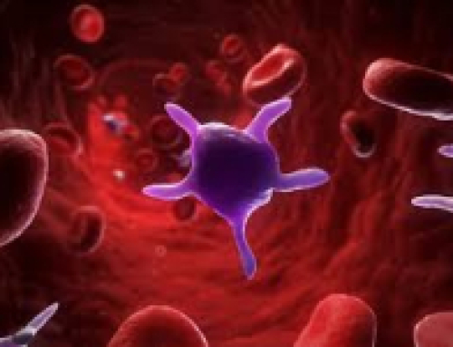 Are Platelet Disorders Reversible?